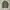 Vintage 1950s Us Army M51 field jacket photo 3
