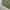 Vintage 1950s Us Army M51 field jacket photo 5