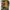 Fullziphoodie BAPe shark 1st green camo wgm original 100% photo 4
