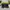 Adidas Neo 'Black Green'  photo 4