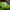 Adidas Neo 'Black Green'  photo 6