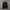 Dickies Hoodie Zipper  photo 1