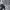 Jaket bulang uaboni paris puffer winter down jacket photo 5