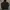 Jaket bulang uaboni paris puffer winter down jacket photo 1