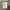 💥RARE💥 Final Home Paul Boye Sete photo 4