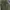 00’s Japanesse green olive loose pants photo 5