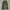 00’s Japanesse green olive loose pants photo 1
