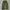 00’s Japanesse Green Olive Loose Pants