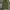 00’s Japanesse green olive loose pants photo 6