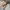 00’s loose pants Japanesse photo 5