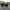 RayBan Wayfarer Tortois