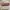 NEW PINKBERRY Lip Gelato 4.2ml - Long Lasting Moisturizing L photo 1