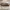 NEW PINKBERRY Lip Gelato 4.2ml - Long Lasting Moisturizing L