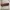 NEW PINKBERRY Lip Gelato 4.2ml - Long Lasting Moisturizing L photo 3