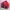 Jacket Helly Hansen photo 2
