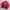 Jacket Helly Hansen
