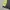 Jacket Nike Windbreaker Three Colors photo 5