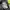 Jacket Nike Windbreaker Three Colors photo 9
