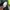 Jacket Nike Windbreaker Three Colors photo 7