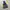 Jacket Nike Windbreaker Three Colors photo 3