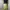 Baggy ballon pants LOG IN photo 3