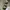 Baggy ballon pants LOG IN photo 6