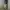 Baggy ballon pants LOG IN photo 2
