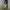 Baggy Ballon Pants LOG IN