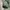 Baggy ballon pants LOG IN photo 7