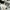 PANTS DRIFTCOLONY  photo 4