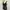 SSOROSATE Black Floral Sheer Lace Tanktop Bra photo 4