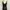 SSOROSATE Black Floral Sheer Lace Tanktop Bra photo 2