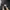 Ballon wide  Pants cargo  by Done  photo 8