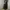 Baggy Ballon Wide Pants  GLW Good Life Works 