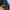 Harington Jacket Bean Pole Detroit photo 5