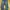 Tree Way Dark Blue Washed Baggy Jeans photo 5