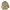 Vintage Aquascutum Coat Women