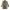 Vintage Aquascutum coat women photo 2