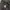 Adidas Climaproof Winter Warm Outdoor Jacket photo 9