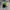 Streetwear Hat Pria multicolor photo 2