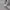 Topten Sportswear Fleece Pria cream photo 6