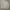 Vivastudio photo 1