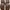 Timberland Chukka Leather Boots Made in China photo 9