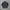 Tracktop Le Coq Spotif  photo 4