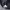 Tracktop Le Coq Spotif  photo 7