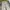 Uniqlo Japanesse soft creams trousers loose photo 7