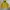 Thisisneverthat Minions Windstopper Jacket photo 3