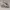 Nike Roshe Run Breeze White Black photo 1