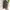 Tas Ransel Wanita Calvin Klein Flap Serut Nylon Backpack photo 3