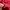 Dickies Originals Red Windproof Outdoor Jacket photo 6
